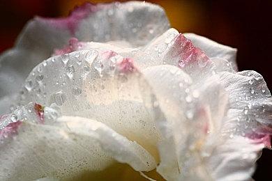 禅意漂移 另类竞速游戏《佛祖GO》上线Steam页面